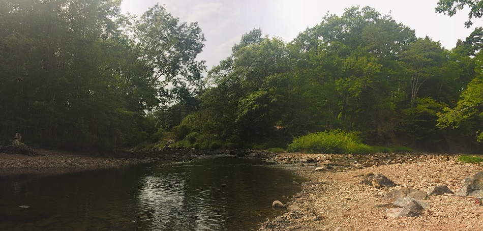 Saltsprings Park River.jpg